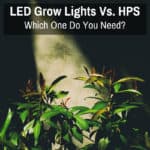 Led vs. HPS Grow Lights