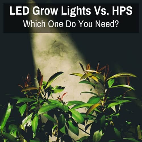 LED Grow Lights Vs HPS Which One Do You Need?