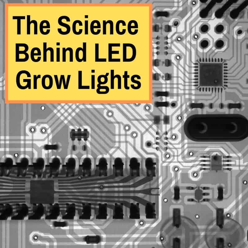 LED Grow Light Science