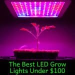 the best LED grow lights under $100