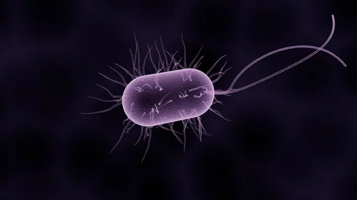 microbe under ultraviolet light
