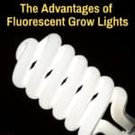 Pros of fluorescent grow light bulb