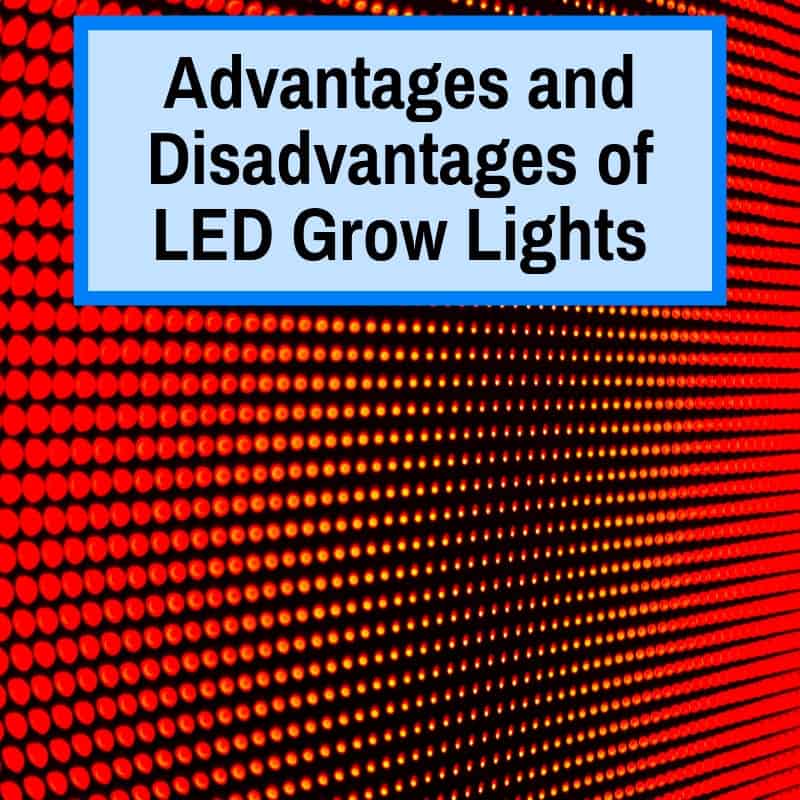 Pros and Cons of LED Grow Lights
