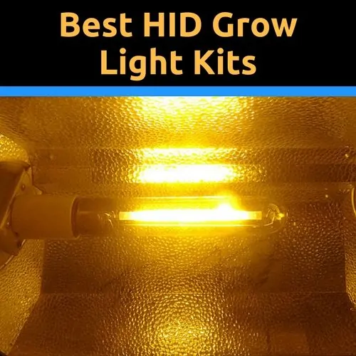 Best hid grow light kits