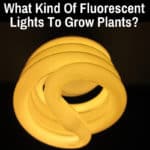 fluorescent grow light bulb