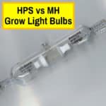 MH or HPS Bulbs