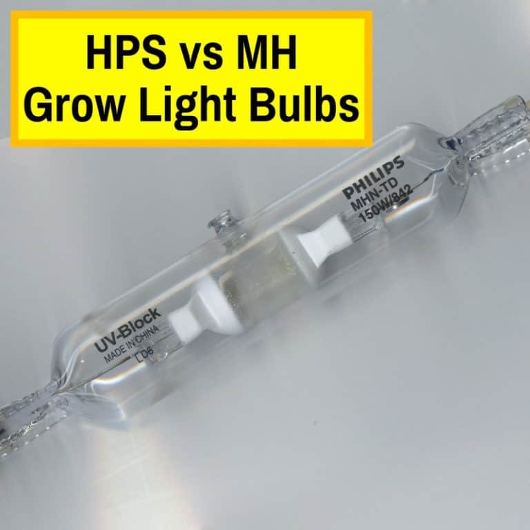 Metal Halide Vs HPS Grow Light Bulbs (Which Should You Be Using)