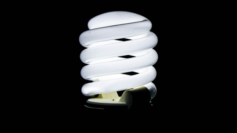 compact fluorescent bulb for vegging