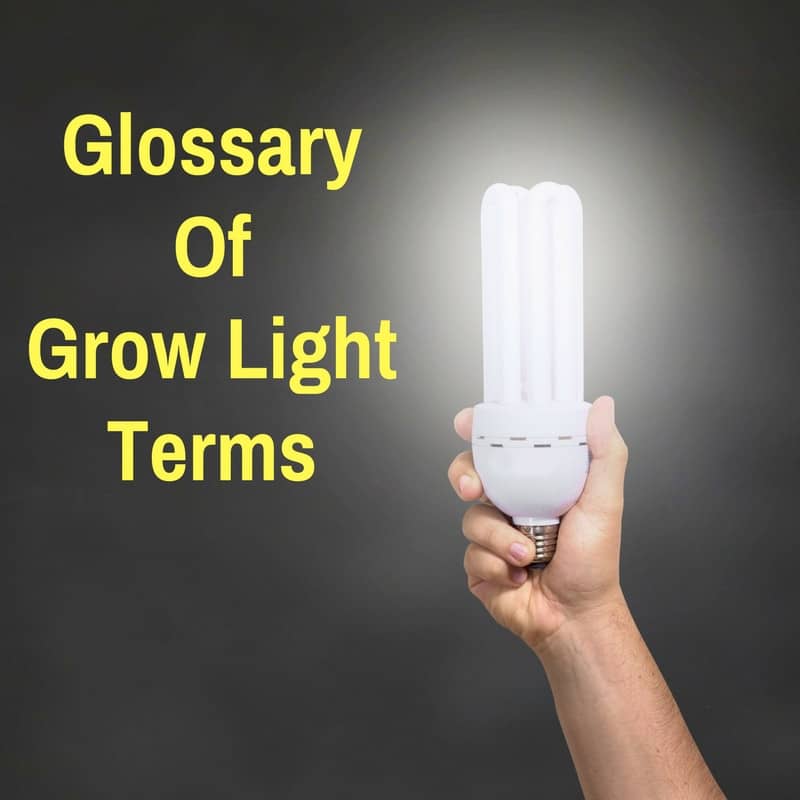 glossary of grow light words