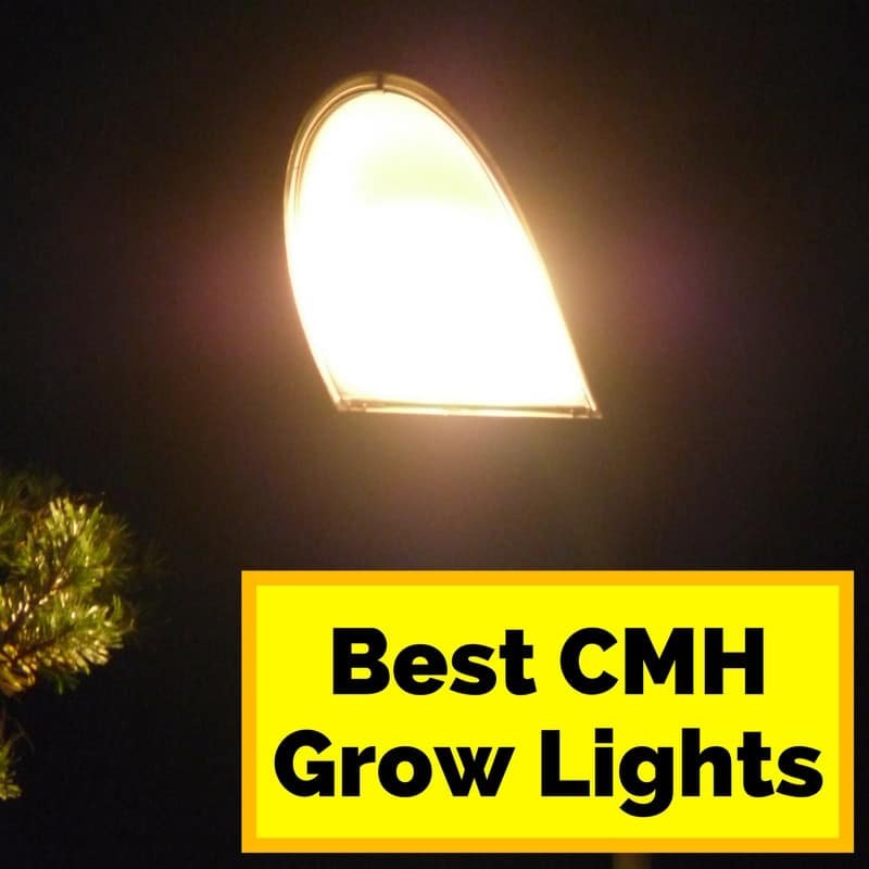 best cmh bulb for veg