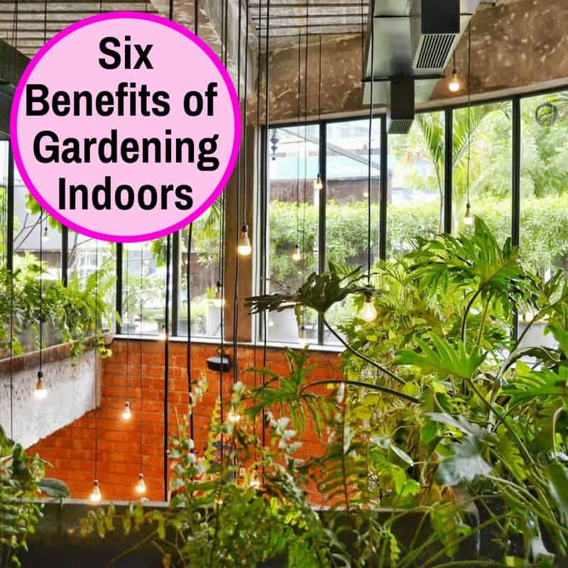 Benefits of Indoor Gardening