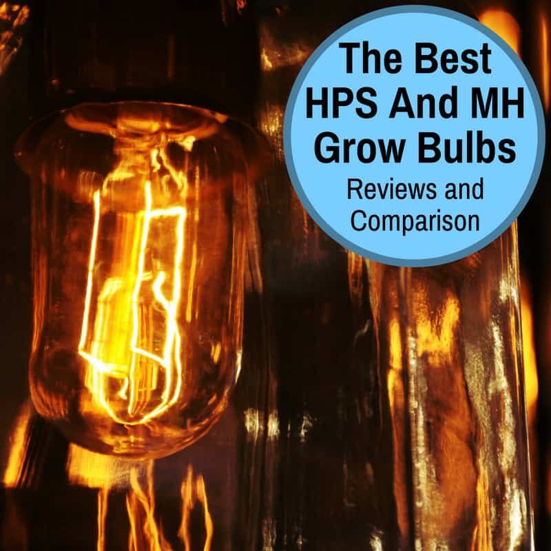 best HPS and MH grow bulbs