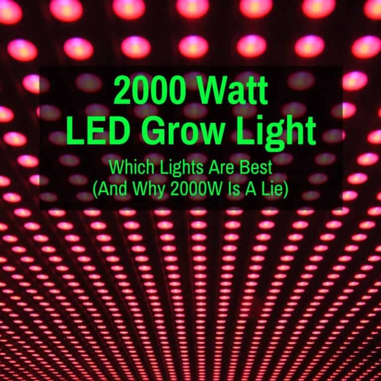 Best LED Grow Light Under 100 (Reviewed And Compared)