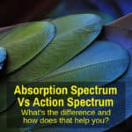 Action vs absorption spectra
