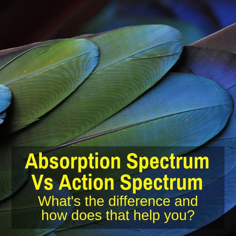 Action vs absorption spectra