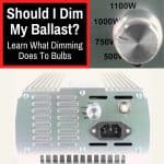 is dimming your ballast a good idea