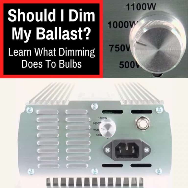 Should I Dim My Ballast? (Learn What Dimming Does To Bulbs)