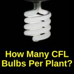 CFL bulb for growing plants