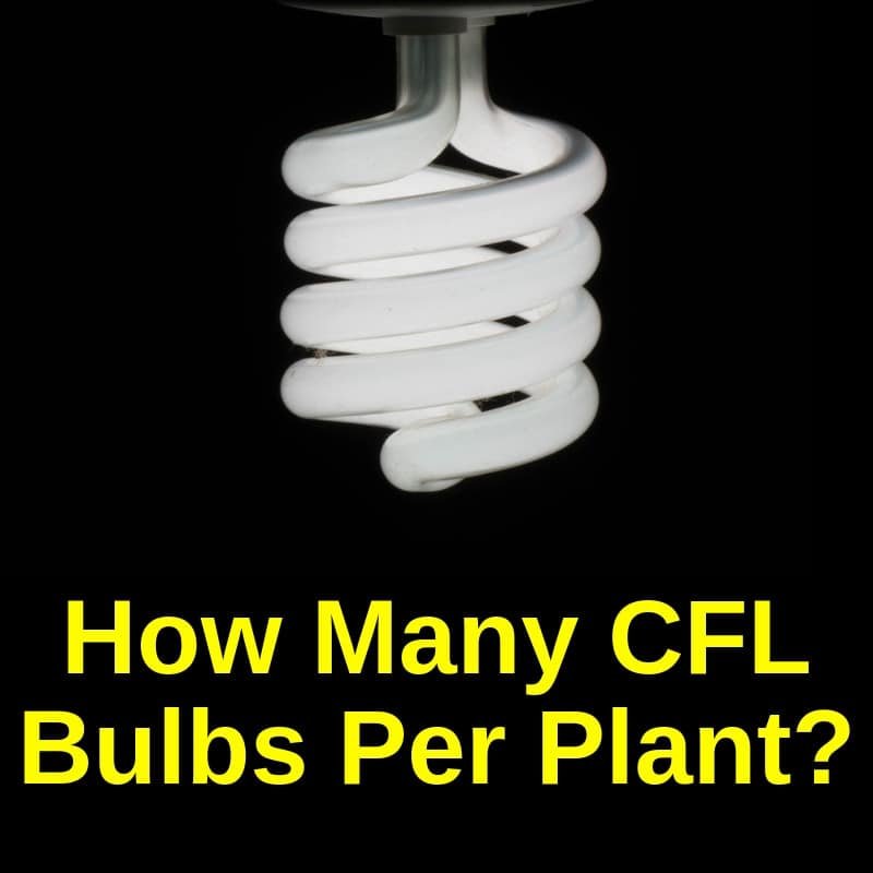 CFL pære for voksende planter