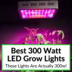 Best 300 Watt LED Grow Light