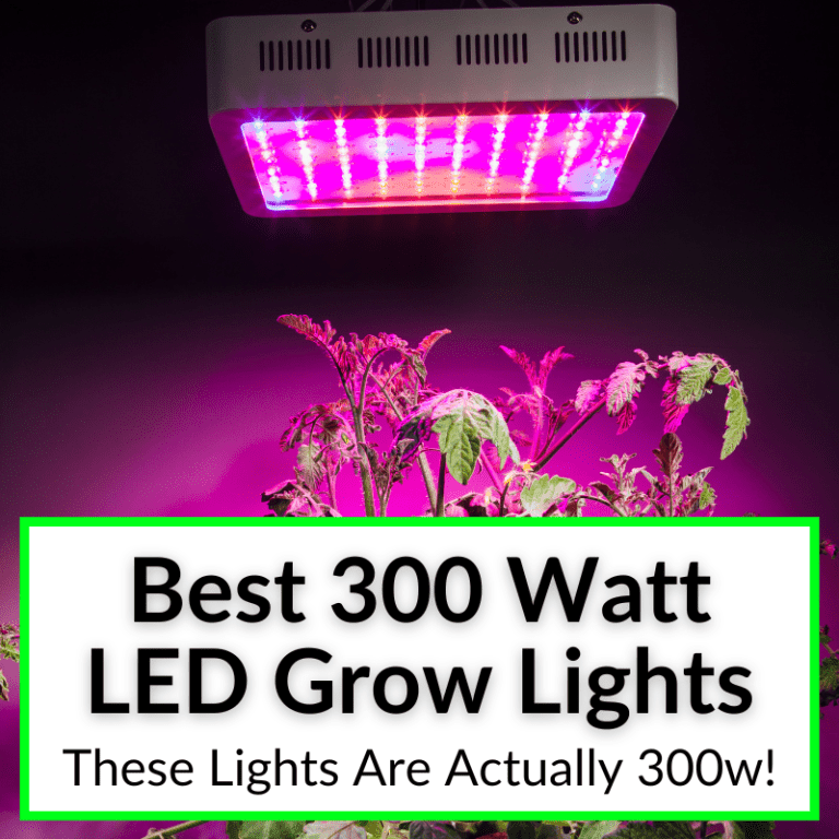 grow light led 300w