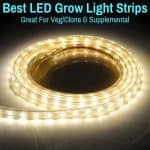 Best LED Grow Light Strip