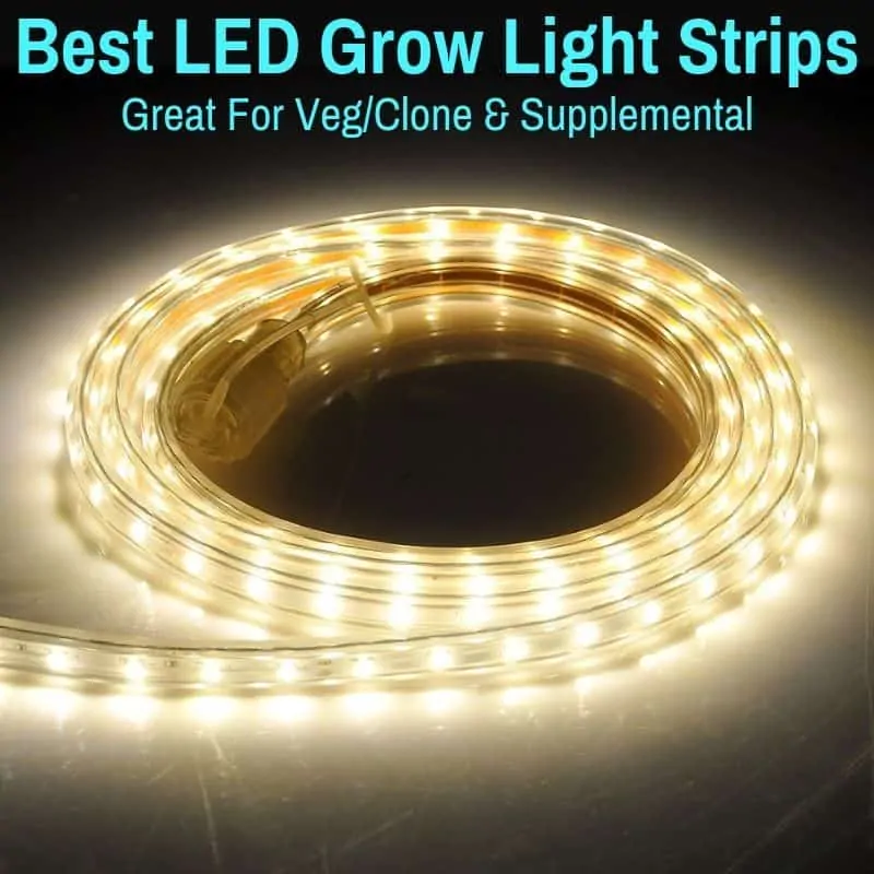 0.5M-2M 30-180LEDs Waterproof LED Grow Light Strip Lamp For Indoor Plant Flower 