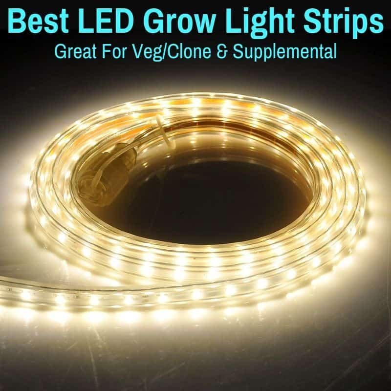 spray skive Identificere LED Grow Light Strips (Best For Veg/Clone & Supplemental)