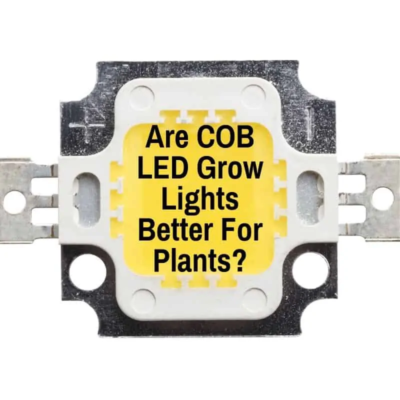 Cob led grow light for weed