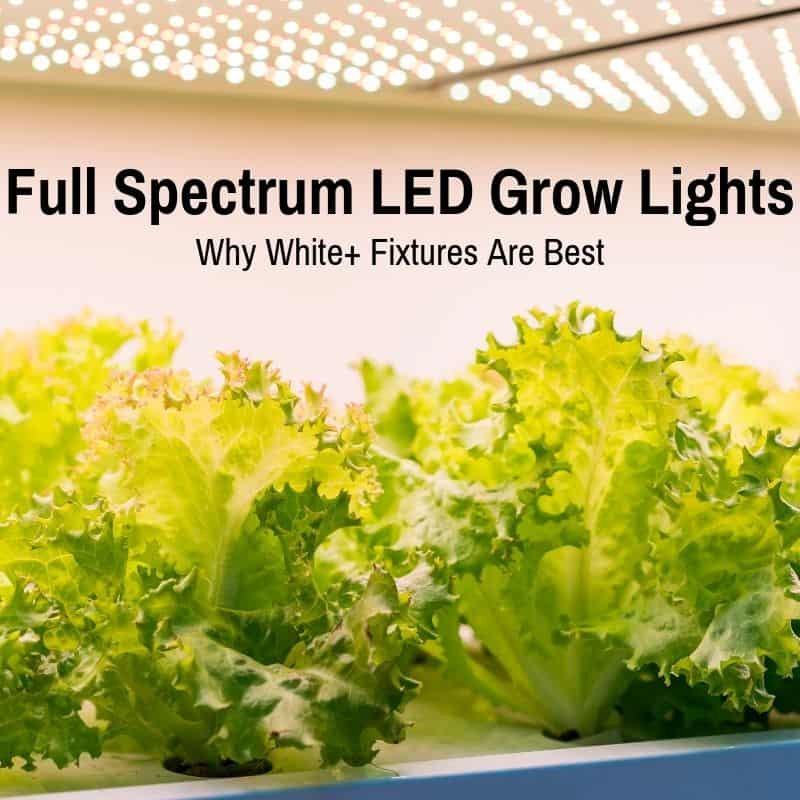 Best Full Spectrum LED Lights (Why White+ Are Best)