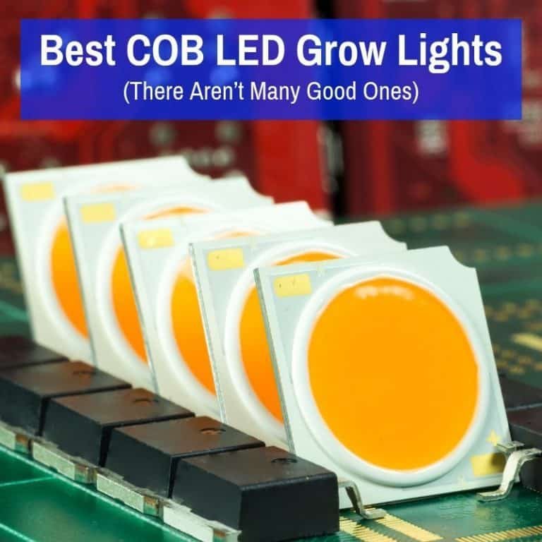Best COB LED Grow Light (There Aren't Many Good Ones)