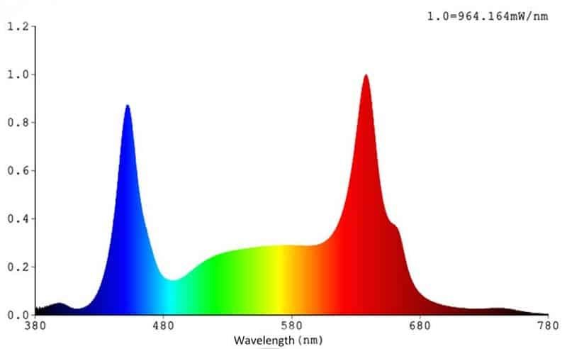 best flowering spectrum