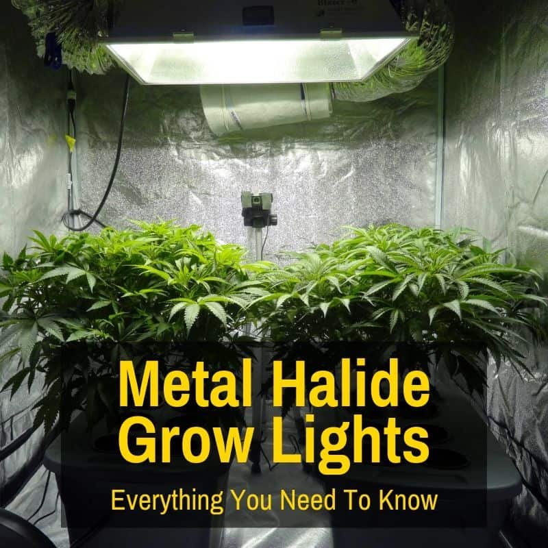 metal halide grow light