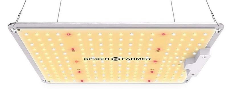 Spider Farmer SF 1000