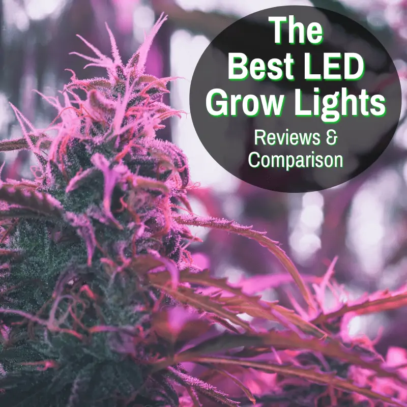 Best LED Grow Lights (Reviews By An Actual Grower)