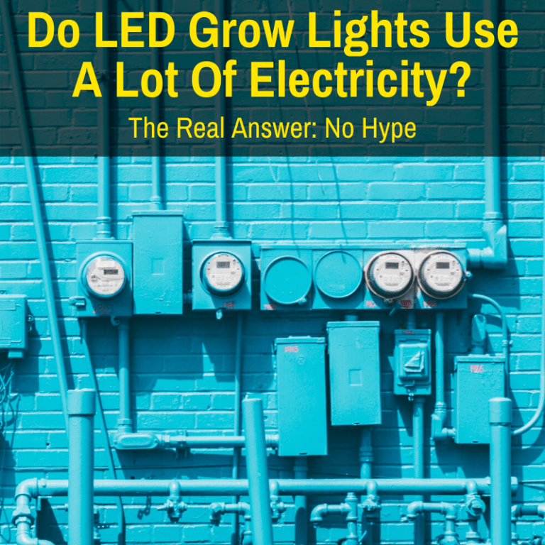 Do LED Grow Lights Use A Lot Of Electricity? (The Real Answer—No Hype)