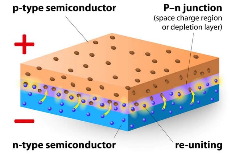 How Do LED Grow Lights Work? (And Which Work Best?)