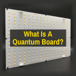 What Is A Quantum Board