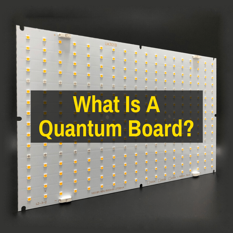 What Is Quantum Board LED Grow Light? (Is The Hype Real?)