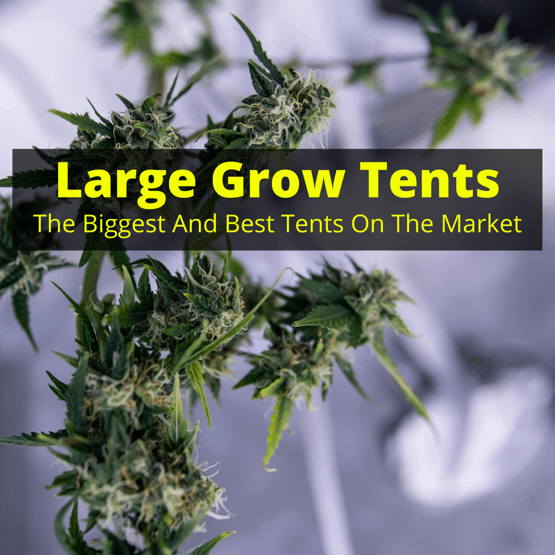 Large grow tent
