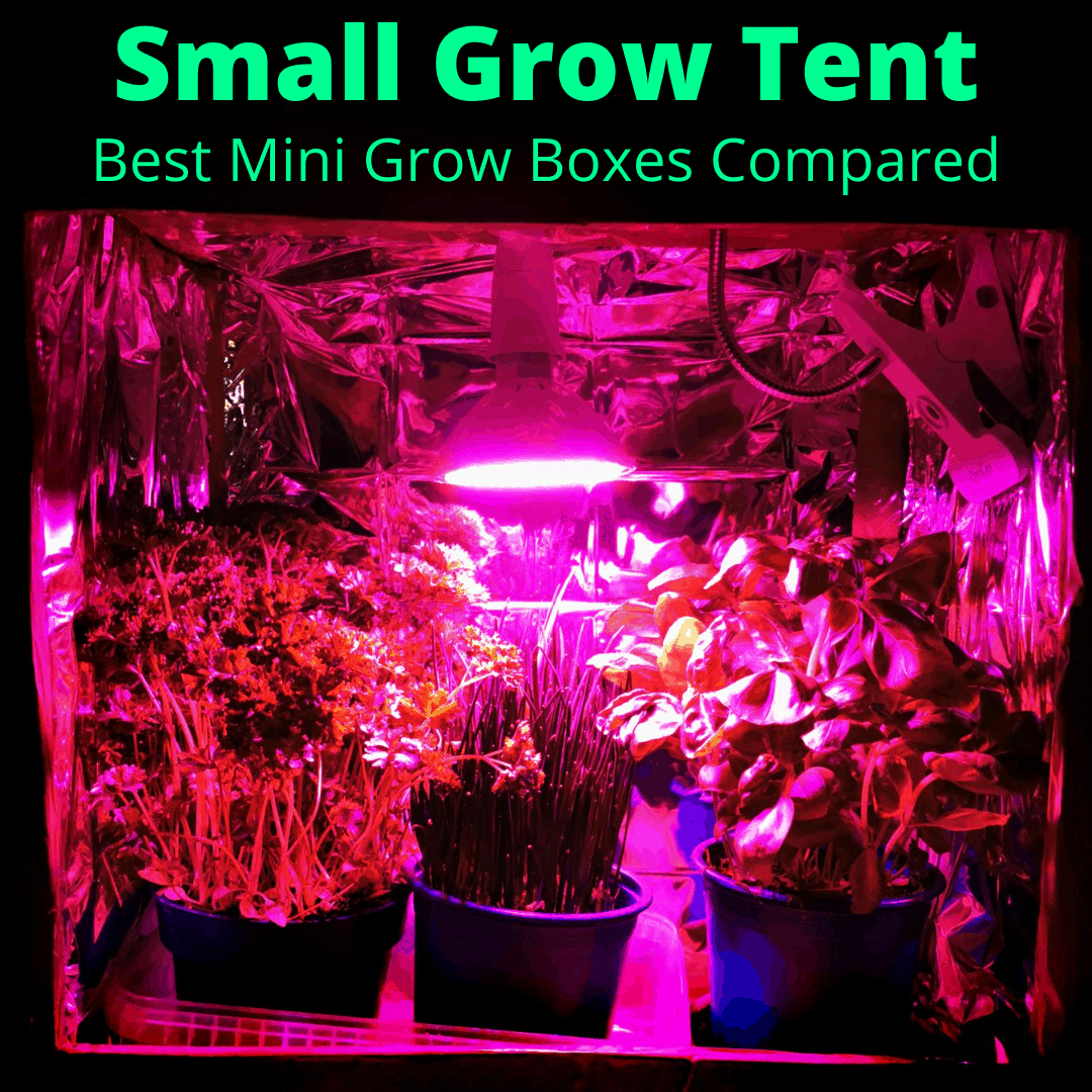 Best Complete Hydroponic Small Grow Room Tent Canna CFL Light Kit 60x60x160 