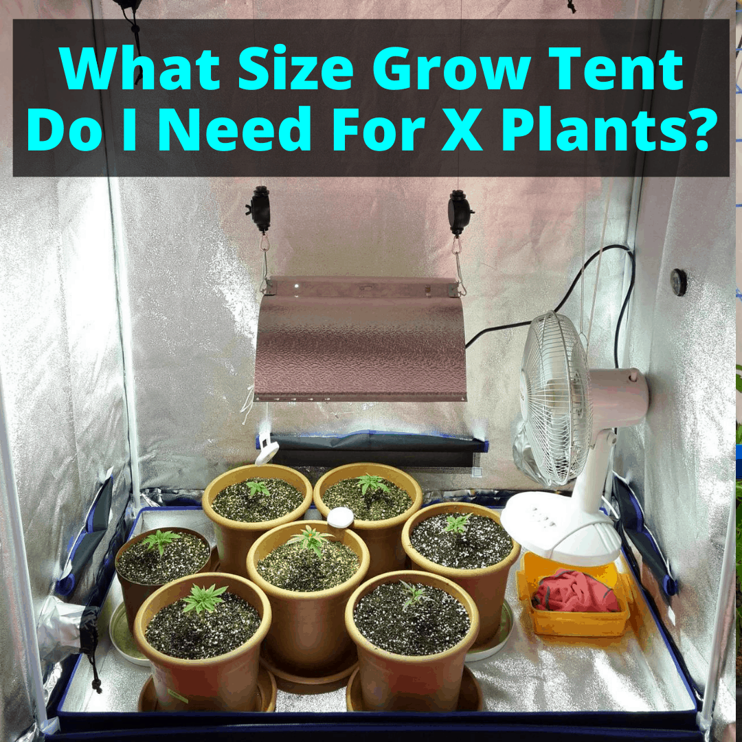 Garderobe hart Literatuur What Size Grow Tent Do I Need For X Plants?
