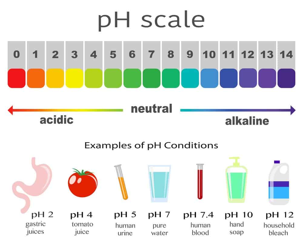 Ph scale