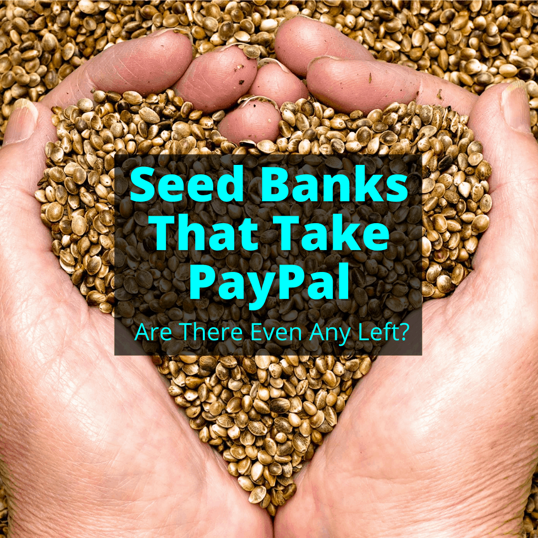 Seed Banks That Take PayPal