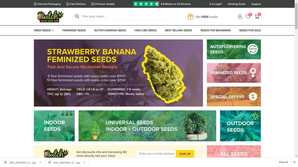 Dutch Seed Store Website