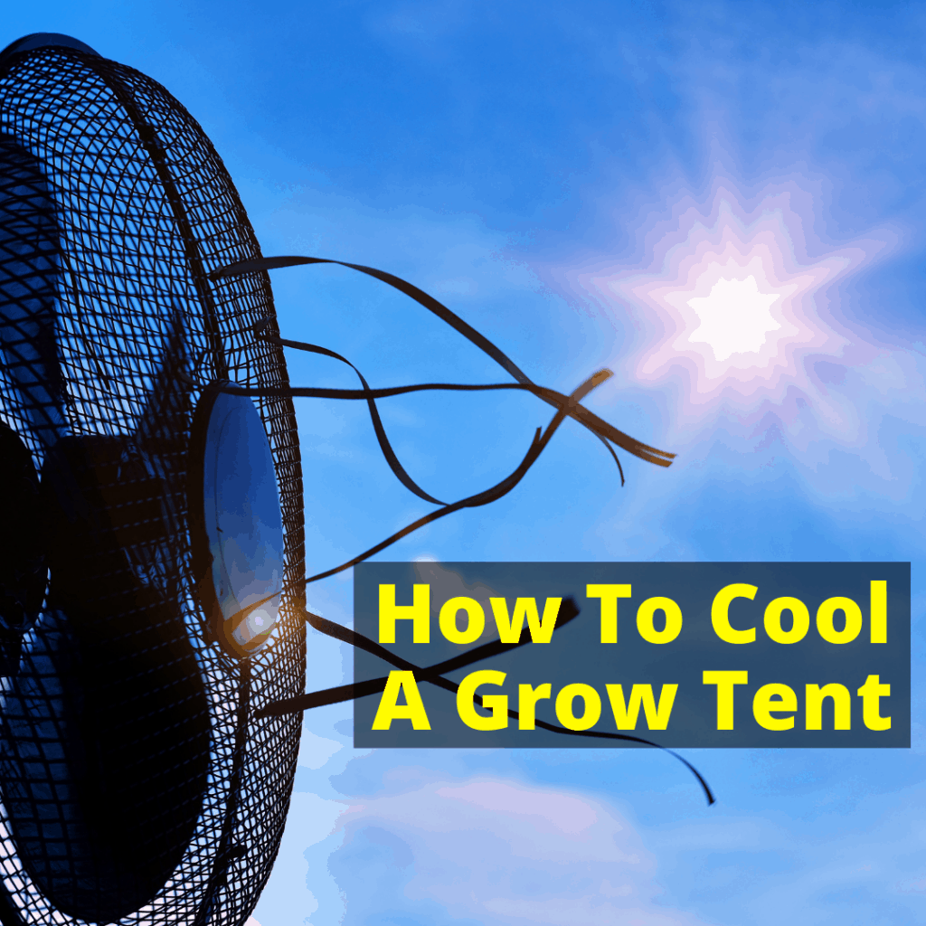 How To Cool A Grow Tent Without Wasting Tons Of Money