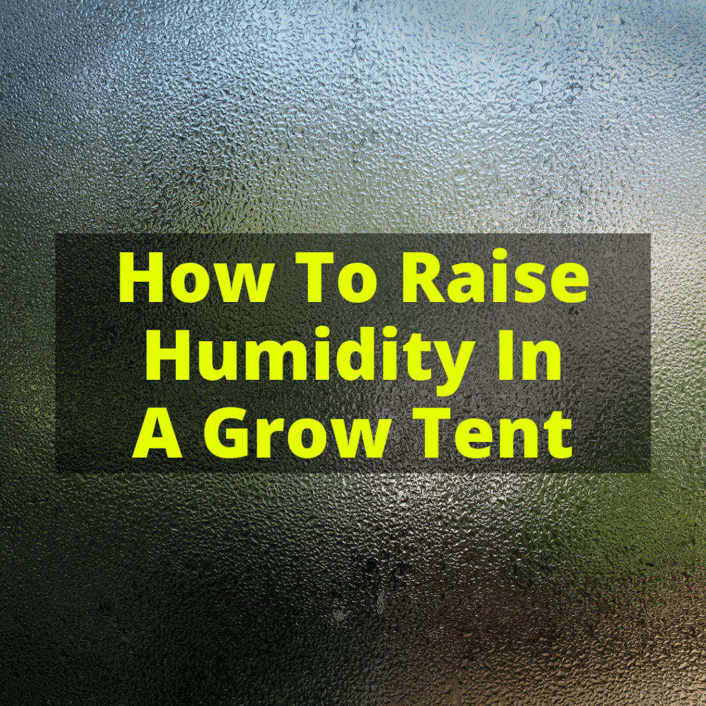 How To Raise Humidity In A Grow Tent (And Why You May Not Need To)