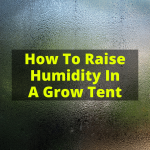 How To Raise Humidity In A Grow Tent