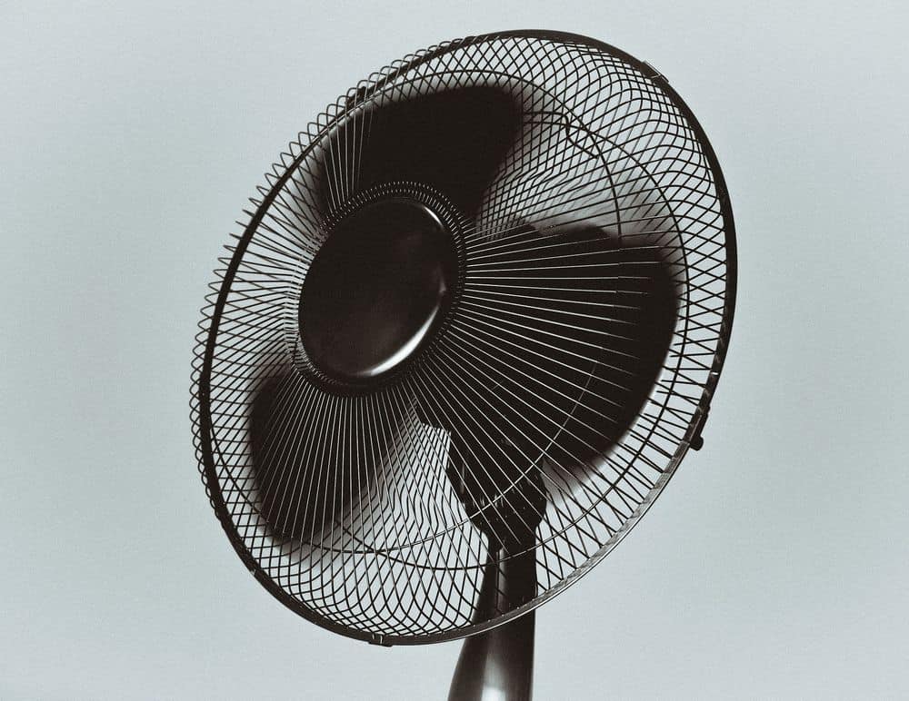 fan for drying weed buds