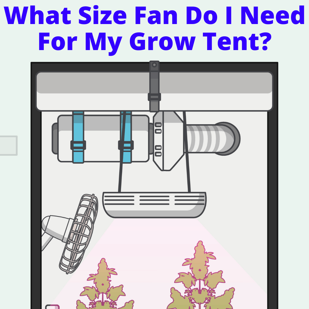 What Size Fan Do I Need For My Grow Tent? (With Handy Table For Common Sizes)